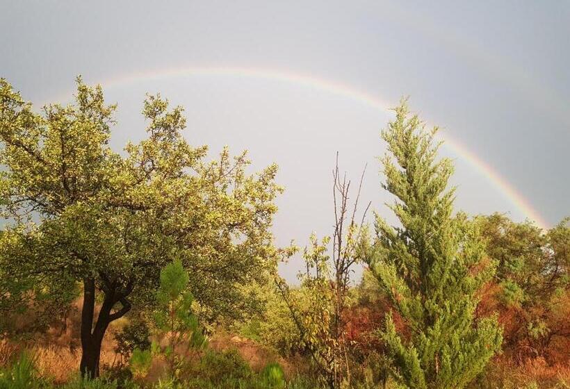 ホテル Agriturismo Petra Lucana