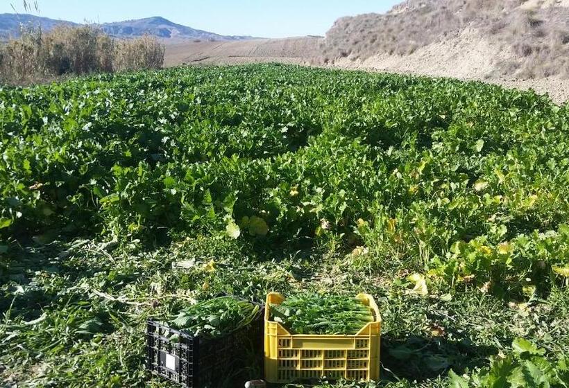 ホテル Agriturismo Petra Lucana