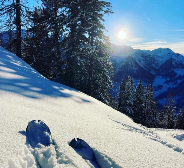 پانسیون Appartementhaus Reiter Village Room