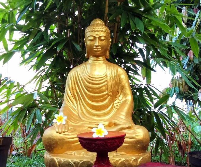 펜션 Bucu Hidden Guest House, And Meditation Center