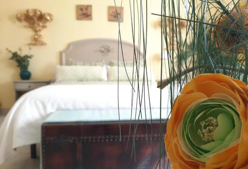 پانسیون Casa Solis