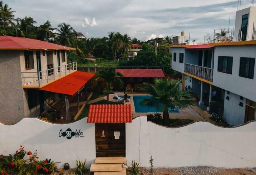 펜션 Coccoloba Guest House