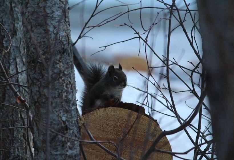 פנסיון Golden Acres Mountain Lodge