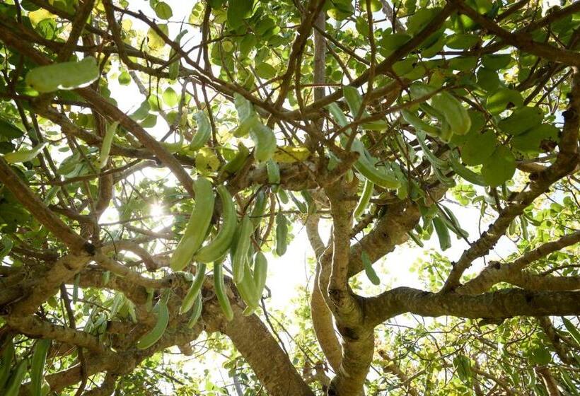 Пансион Karrua House   Magnolia Room