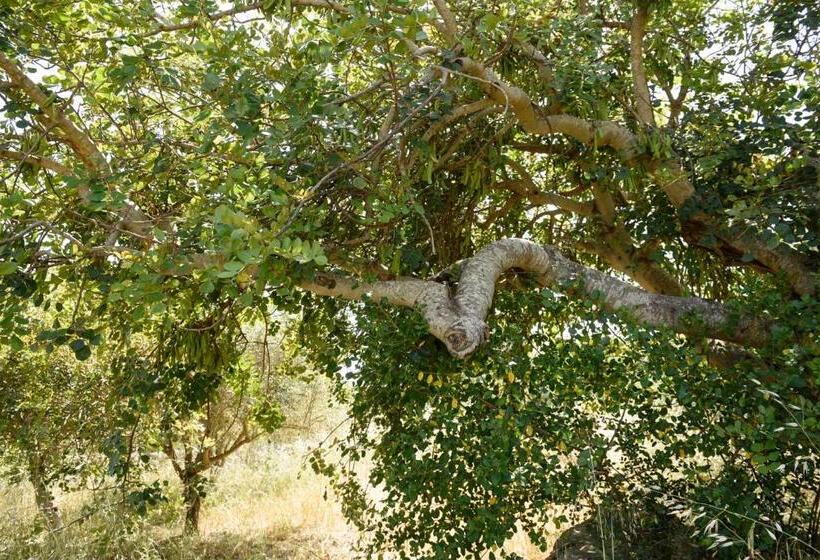 Пансион Karrua House   Magnolia Room