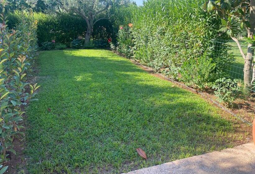 Пансион Karrua House   Magnolia Room