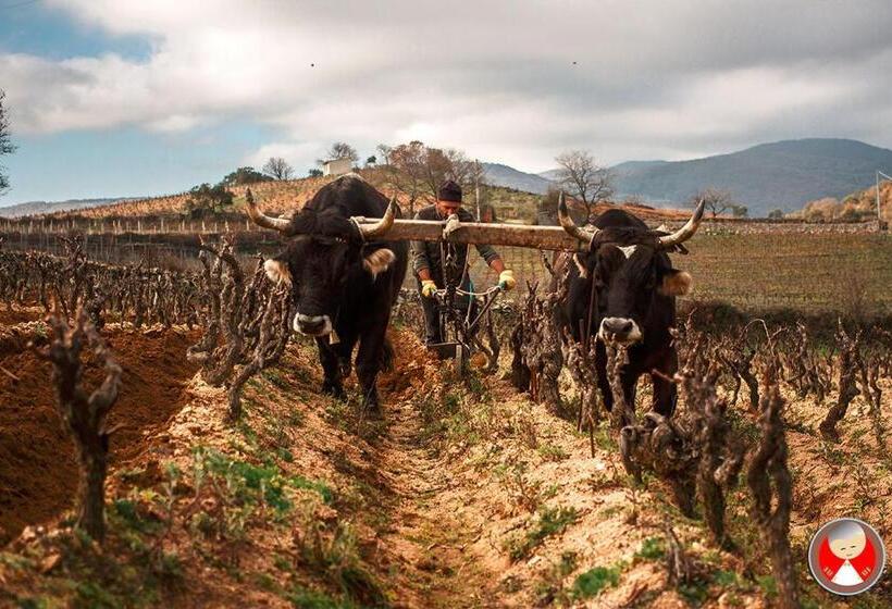 بنسيون Le Rose Di Santina