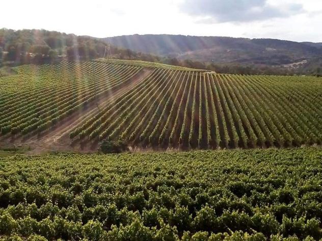 بنسيون Le Rose Di Santina