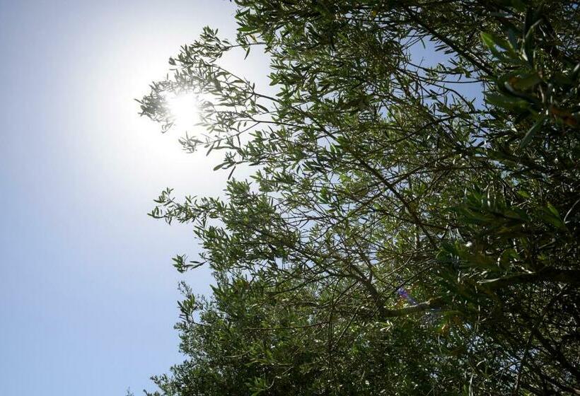 Пансион Karrua House   Magnolia Room