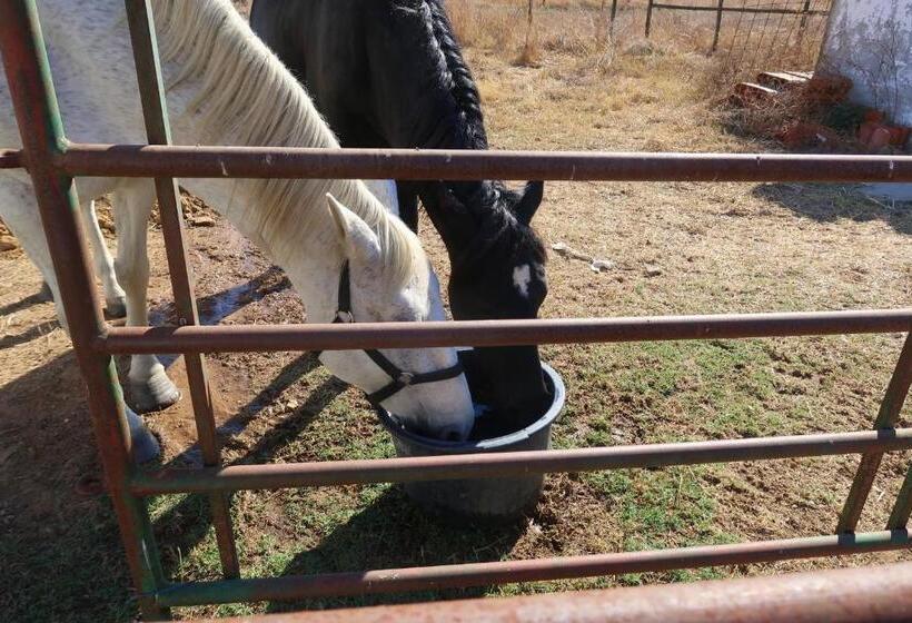 بنسيون Monte Do Paco