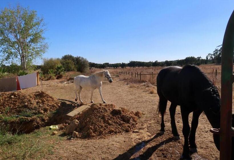 بنسيون Monte Do Paco