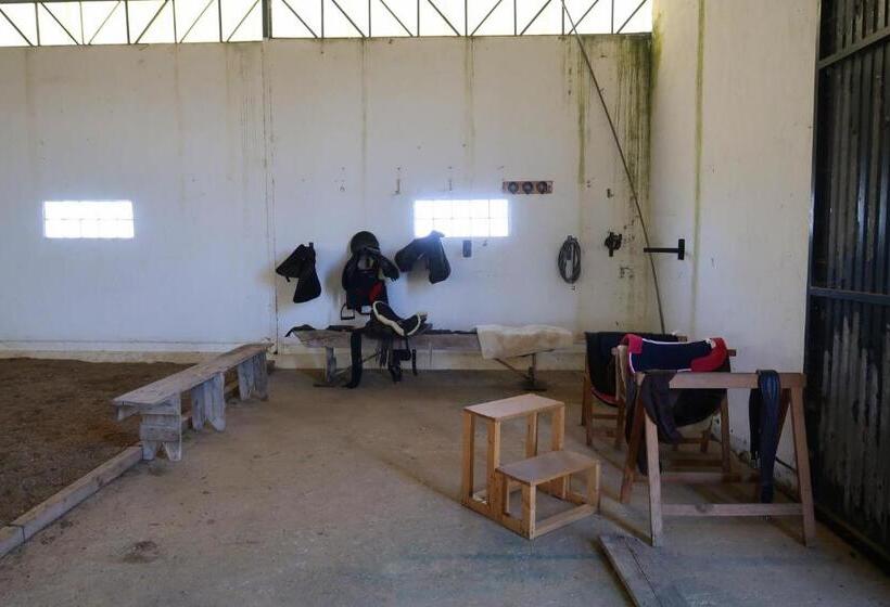 بنسيون Monte Do Paco