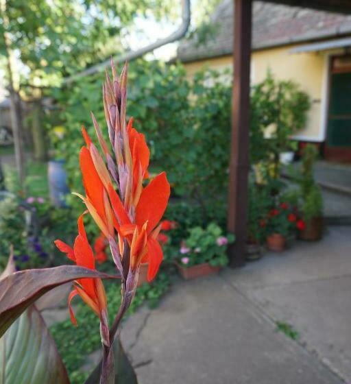 Пансион Piri Vendégház