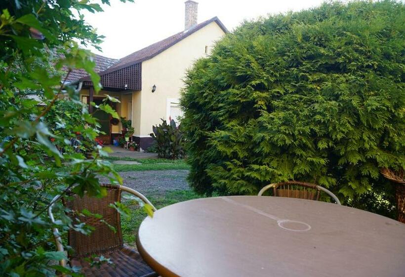 Пансион Piri Vendégház