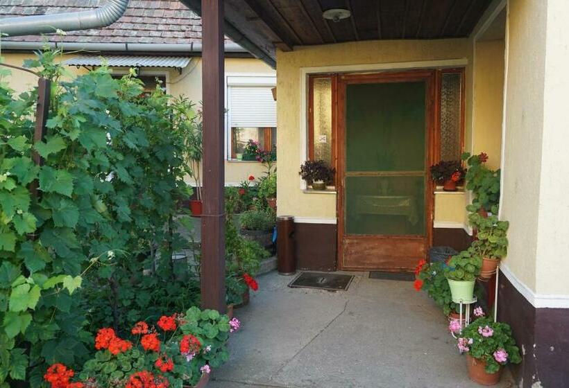 Пансион Piri Vendégház