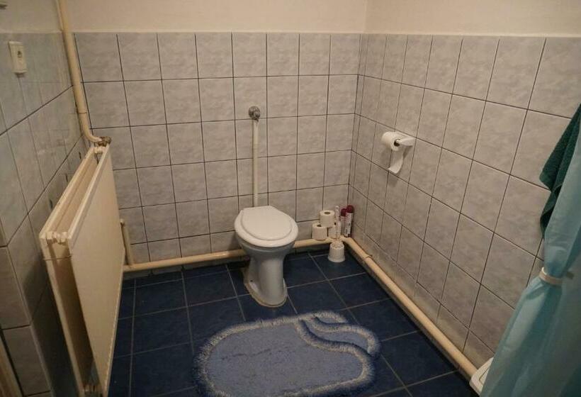 Пансион Piri Vendégház