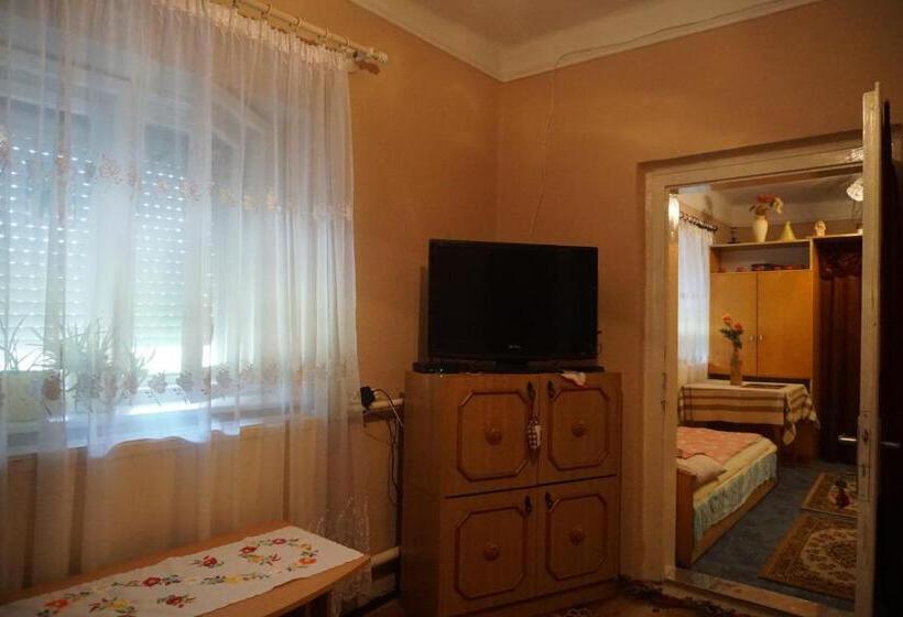 Пансион Piri Vendégház