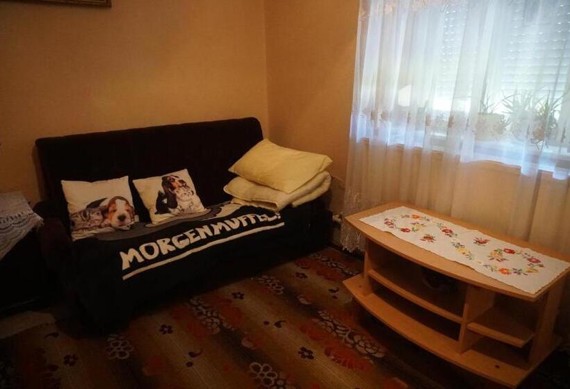 Пансион Piri Vendégház