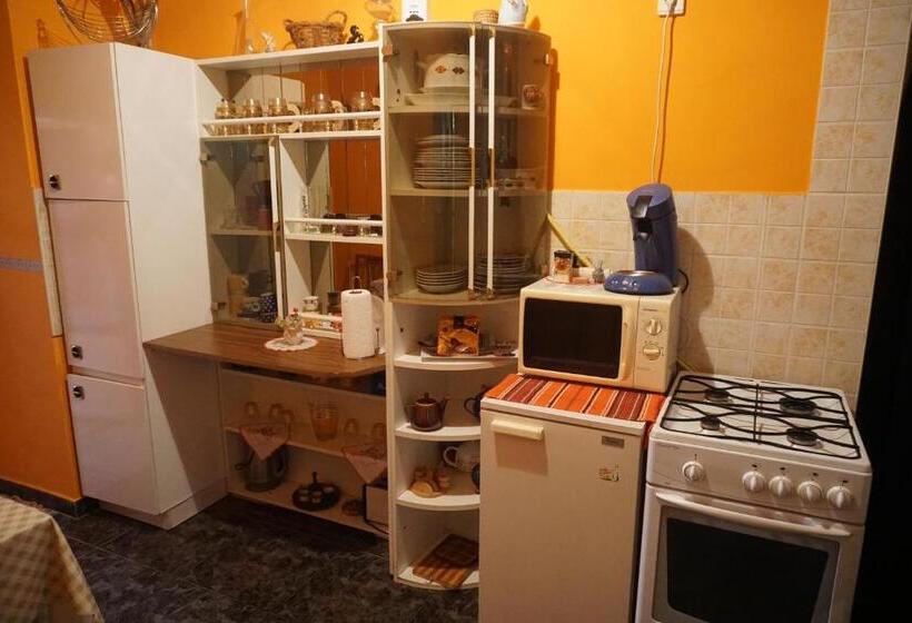 Пансион Piri Vendégház