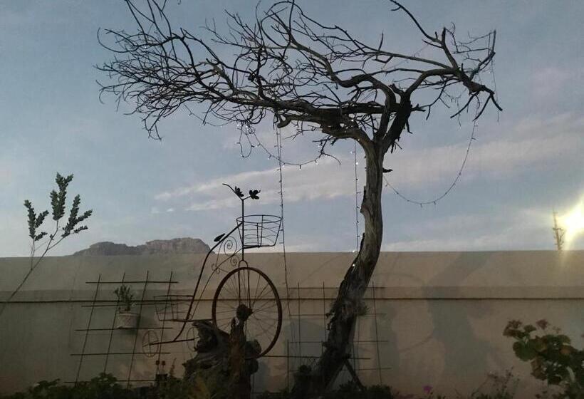 بنسيون Towerzicht Guest House