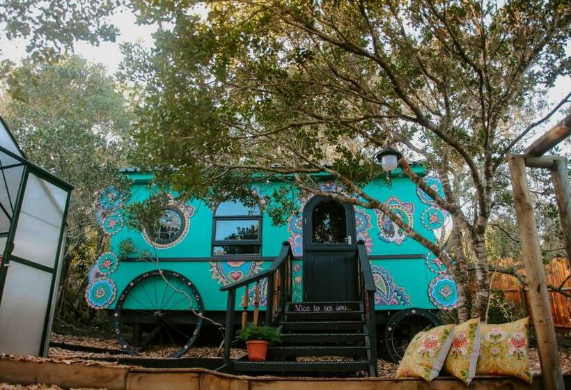 پانسیون Treedom Villas And Vardos