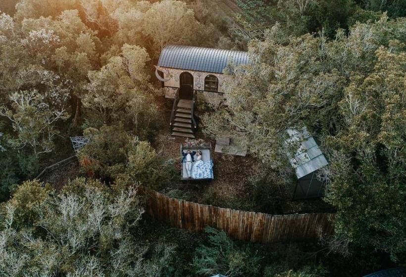 پانسیون Treedom Villas And Vardos