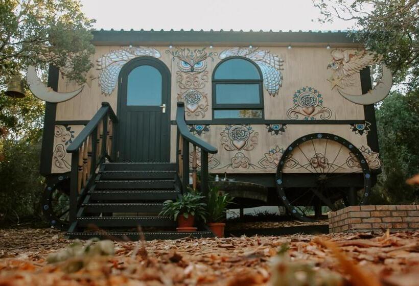 پانسیون Treedom Villas And Vardos