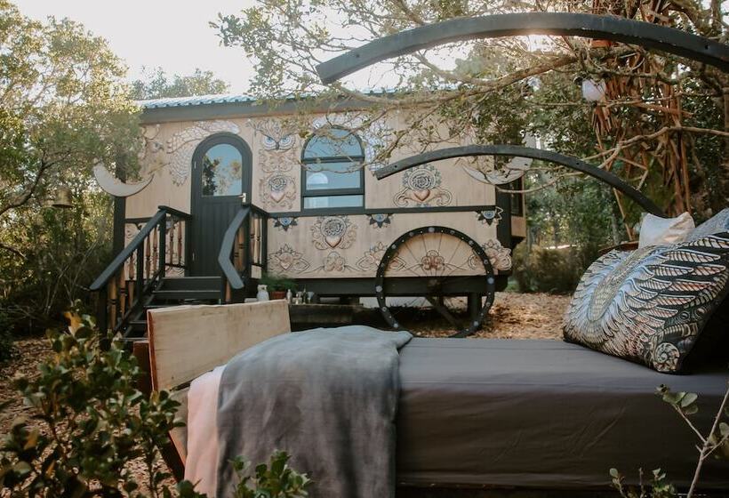 پانسیون Treedom Villas And Vardos