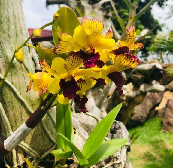 Tongatok Cliff Resort