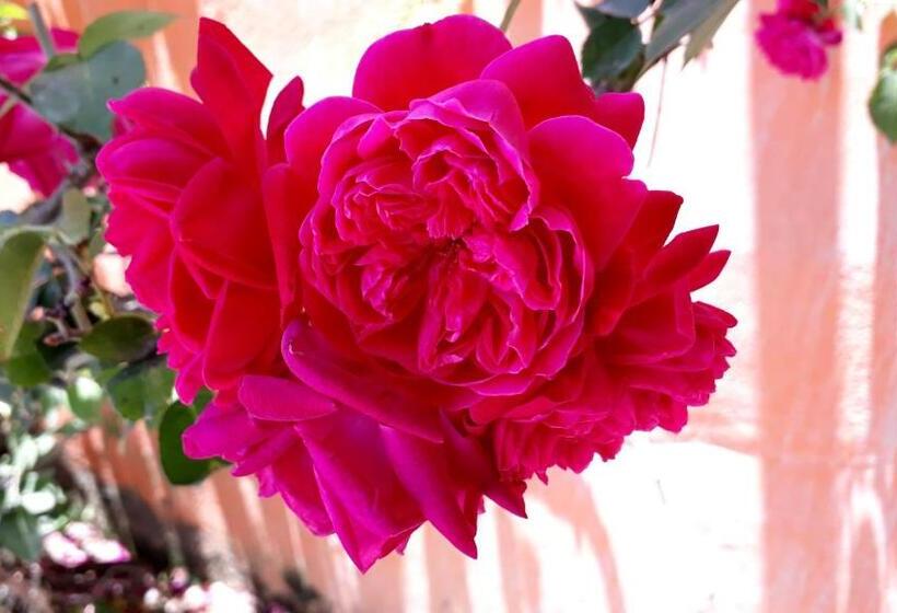 Общежитие Morada Recanto Das Flores