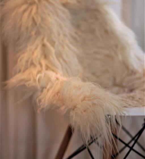 تختخواب و صبحانه Accademia00