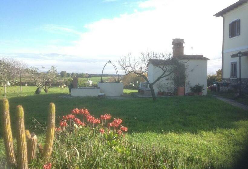 住宿加早餐 Antic Etrurian Inn