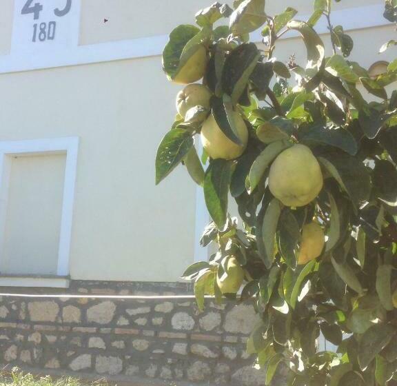 住宿加早餐 Antic Etrurian Inn