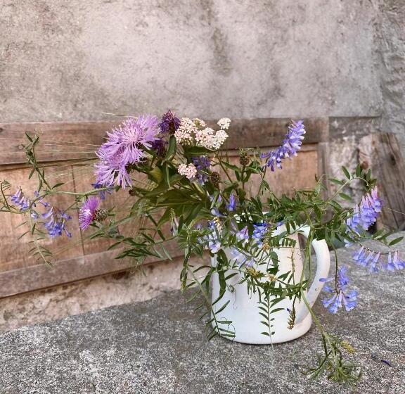 住宿加早餐 Antica Sosta Dei Viandanti