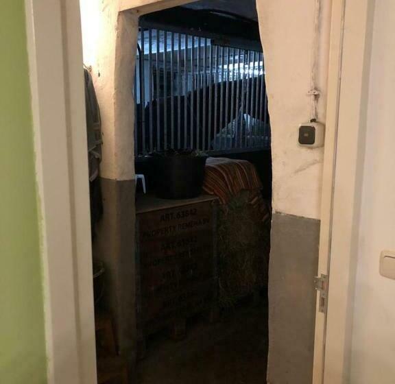 ベッドアンドブレックファースト Boerderij De Enkhoeve