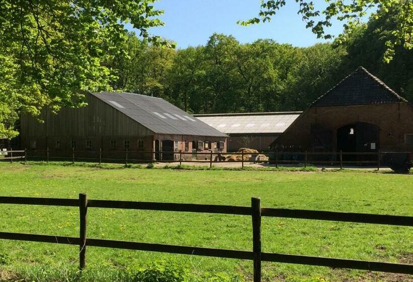 צימר Boerderij De Enkhoeve