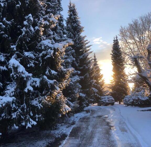 住宿加早餐 Casa Wellbella