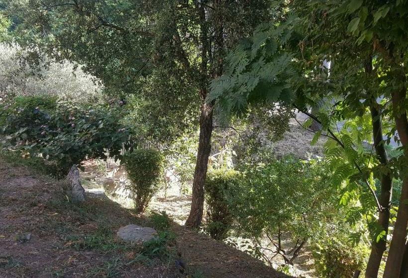 Bed and Breakfast Chiapatella