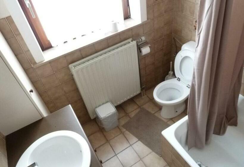 住宿加早餐 Dodo Des Iles