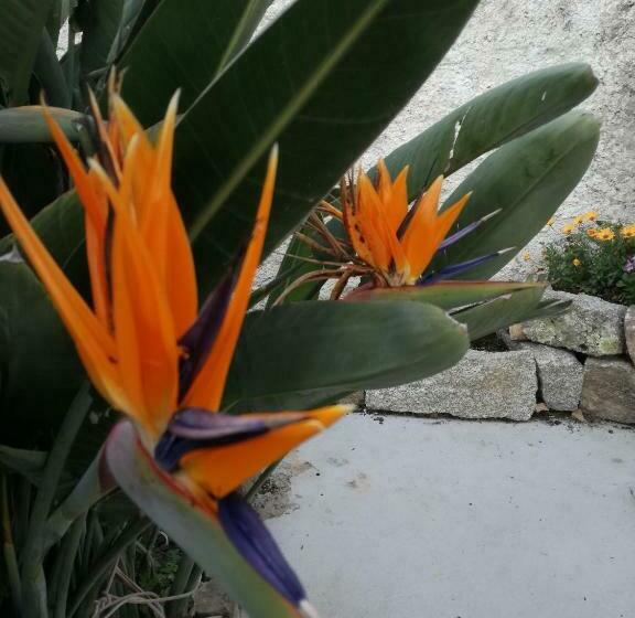 Bed and Breakfast Le Rondini