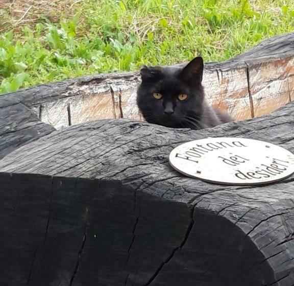 צימר Nikolas  Valley