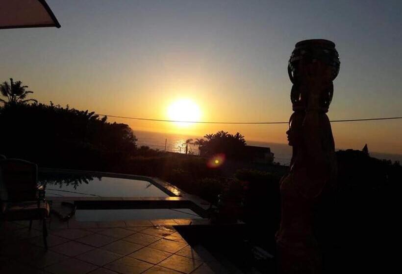 Bed and Breakfast Song Of The Whales