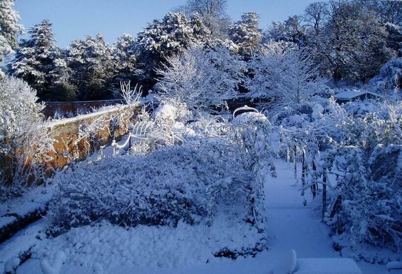 민박 The Courtyard
