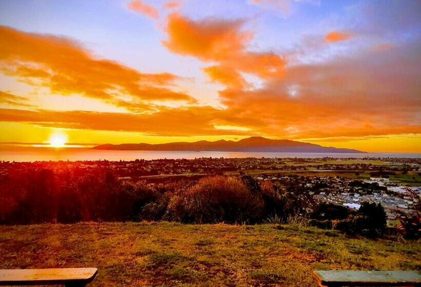 تختخواب و صبحانه White House