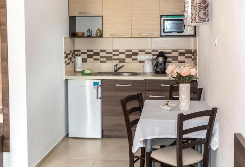 Casa Tofi Vendégház