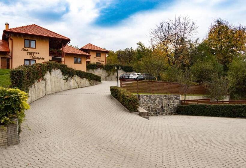 Casa Tofi Vendégház