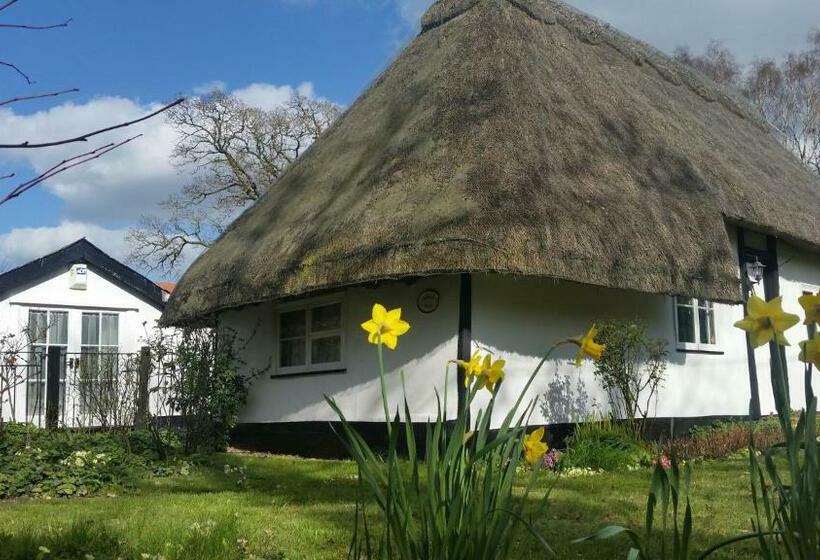 Frogs Hall B&b