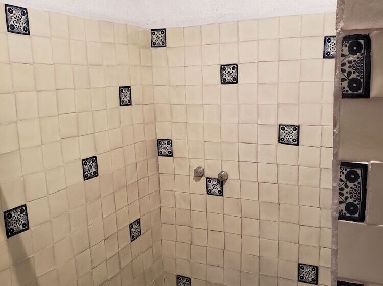 Отель Ex Hacienda San Buenaventura