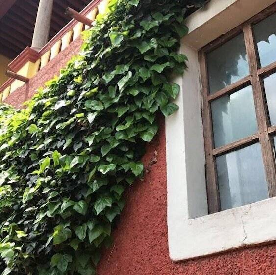 Отель Ex Hacienda San Buenaventura