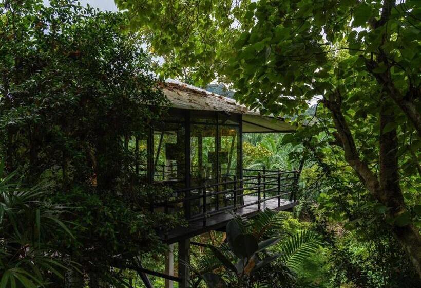 בית מלון כפרי Kachonghills Tented Resort Trang